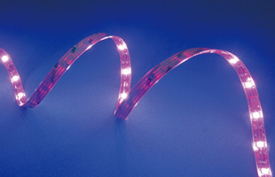 SMD5050 24V RGBW LED Strip IP20 Indoor 24 Volt Led Tape Light