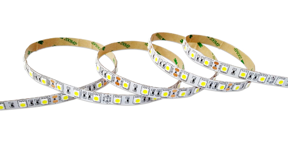 SMD5050 24V RGBW LED Strip IP20 Indoor 24 Volt Led Tape Light