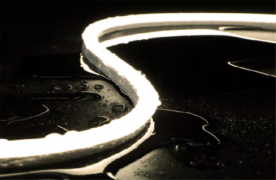 IP68 Underwater Neon Flex 24V TPU Materials Flexible Led Strip For Swimming Pool Use