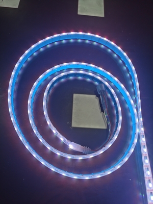 IP65 Waterproof RGBW Flexible LED Strip 24 Voltage DMX 512 Controller Use For Indoor Ceiling Cove Lighting Decorative